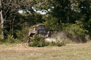 ahrlandclearing 004